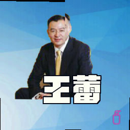 王蕾